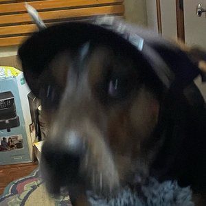 Meet your Posher, Nathan